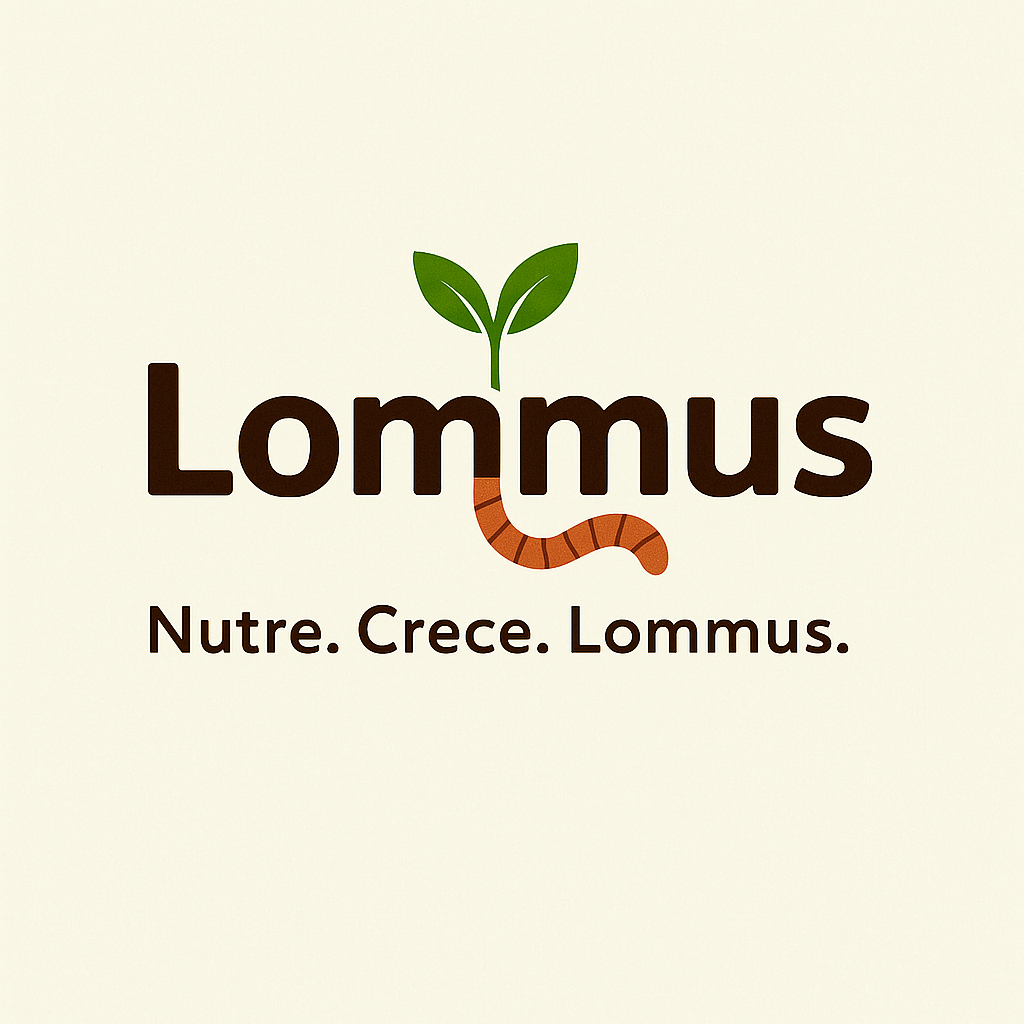 Sobre Lommus